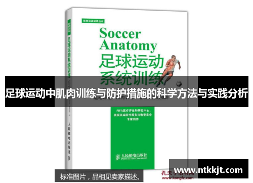 足球运动中肌肉训练与防护措施的科学方法与实践分析
